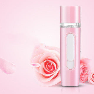 Hand-Held Skin Test Moisturizer Facial Humidifier - 6