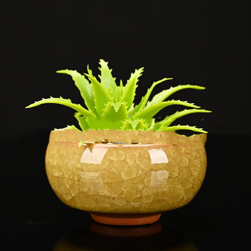 cbd468091050d06b864e289bc4f5c2ab